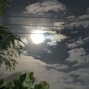 Meet your Posher, Mackenzie-lynn